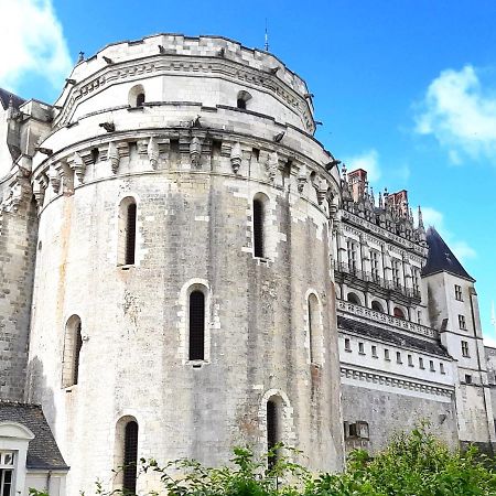 En Plein Coeur : Charmant Gite Centre Amboise Ngoại thất bức ảnh