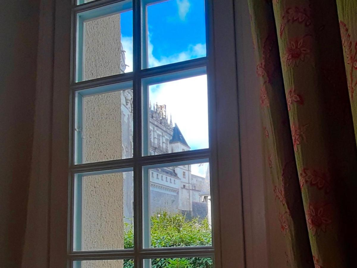 En Plein Coeur : Charmant Gite Centre Amboise Ngoại thất bức ảnh